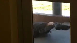 kid falls down stairs