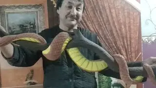змея на ветке из доски