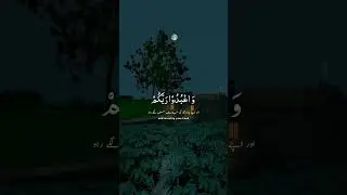 #quranrecitationbestclip #qurantilawat #hearttouchingquran #quranforpeace #quranforsleep #bestvoice