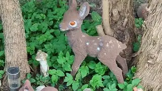 Что у нас произошло в последние дни на Даче 