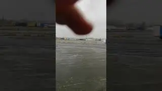 Куры на паркинге в Бельгии.