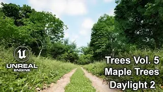 Trees Vol. 5 Maple Trees | Unreal Engine 5.3 | BFP 2.6 | Daylight 2 | 4K #unrealengine #UE5 #gamedev