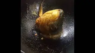 Ash gourd recipes indian What do you do with a rohu fish head? #youtube