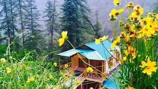 Best Stay in Kasol - Parvati Kuteer
