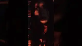 Как вам такой ремикс? 🐱