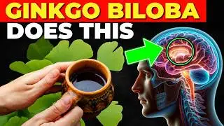 7 Amazing Benefits of Ginkgo Biloba (How to Use It)
