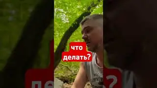 ☀️Вопрос, ответ. Что делать? #практики #ответы  #цитаты
