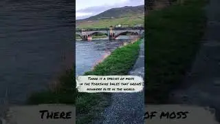 Yorkshire Dales, UK