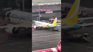 ✨PLANE SPOTTING 1000 #satisfying #airplane #shorts