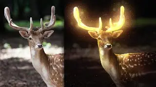 Glowing Deer Photo Manipulation Effect - Timelapse Speed Art