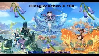 Genshin Impact 4.1 Farmroute (Glasglöckchen/Violetgrass/Violeta X 168)