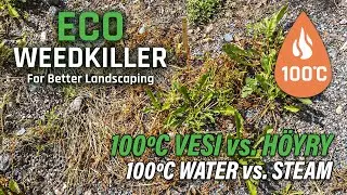 100ºC veden & höyryn ero rikkakasvien torjunnassa | Difference between water & steam in weed control