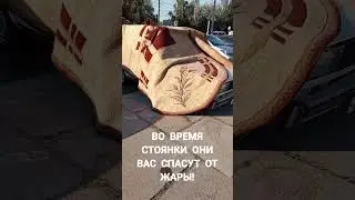 Отличная защита автомобиля от солнца