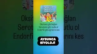 kendin için çalış kazan #yks2025 #yks #tytbiyoloji #ayt #aytbiyoloji #ayt2025 #tyt2025 #fypyoutube