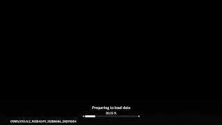 Genshin impacts on iphone 6(black screen)