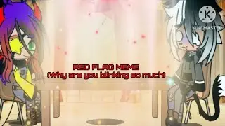 RED FLAG MEME (not original)