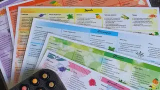 Набор для 6 видов тематических арома-диагностик