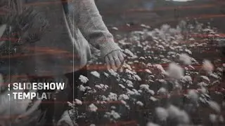 Cinematic Inspired Slideshow (template) | Online Slideshow Maker
