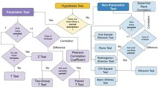 CH19_L24 CONDUCTING PAIRED-SAMPLE t-test USING PYTHON CODE