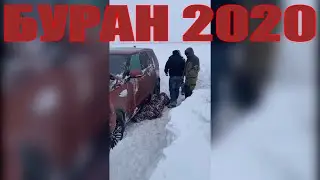 ВЫЖИВШИЕ 2020/В ПЛЕНУ У МЕТЕЛИ/РЫБАЛКА НА ГРАНИ ФОЛА
