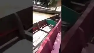 Ketahuan ML berhubungan sex di Hutan Bokep di Hutan😁😂
