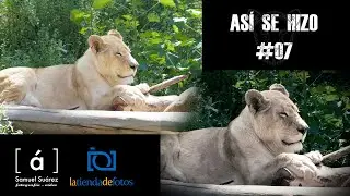 Así se Hizo  #07