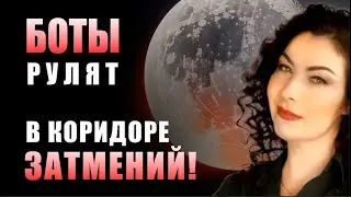 Это уже началось! Мои предсказания о Портале ботов - подтверждены в этом интервью.