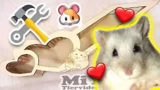 Hamster Einrichtung bauen 🐹 Eure Bestellungen in meinem Shop💖  Werkstatt ⚒️ Paket von Zuschauer 🐟