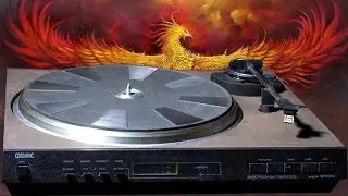 PHOENIX Player. What kind of bird is this? Part 1
