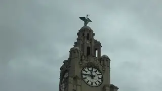 Royal Liver Building Capsule of Culture