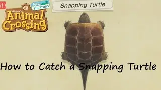 Animal Crossing: New Horizons - How to Catch a Snapping Turtle
