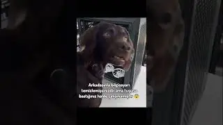 Knk şey söküp tekrar mı taksak