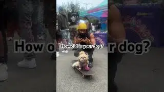 Dupree vs puppy power #dupreegod  #shortsviral  #shortsfeed #puppy #dog #doglover
