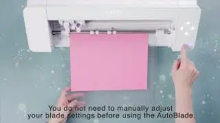 Using the Silhouette Auto Blade