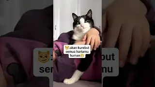 Pemeran Sinetron Ku Menangis...😆