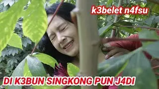 MAIN BELAKANG SAMA ANAK BOS