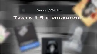 ^трата 1.5 к 𝐫𝐨𝐛𝐮𝐱^~купила мечту?|𝐋𝐮𝐧𝐚_𝐌𝐮𝐧𝐚:𝟑