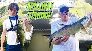 SPILLWAY FISHING For Tarpon, Snook, Peacock Bass and more! + HUGE ANNOUNCEMENT!!! #fishing #tarpon