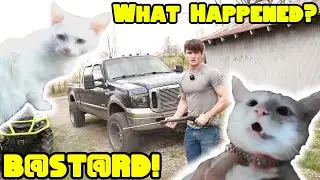 What Happened To MEOW MEOW?!?!