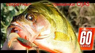 С Таким Клевом Знай Меру. Секретные Приманки На Окуня От OJAS