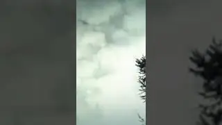 Tunguska Felaketi