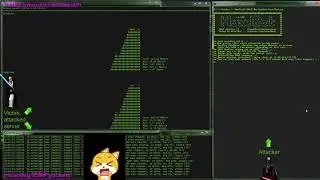 ICMP-Flood DDoS example with army of ~2000 Routers - (read info section!)