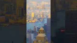 The perfect view Hong Kong? #hongkong #city #view #beautifulview  #viewofhongkong