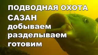 Подводная охота Сула 2021