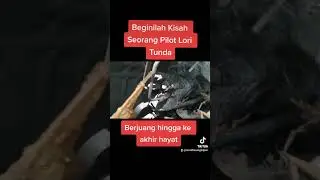 Beginilah Kisah Seorang Pilot Lori Tunda..