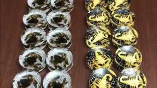 Фишки из оргстекла «Пауки и скорпионы» для нард.