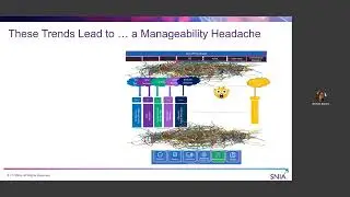 Casting the Net: Scaling Management of Storage and Fabrics