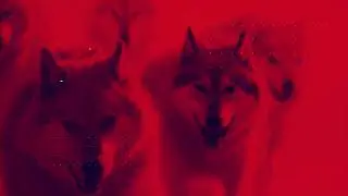 Wolfpack & Cyberark | Webinar | African Cybersecurity & Privacy Compliance