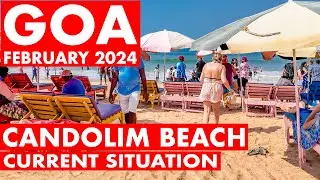 Goa | Candolim Beach - February 2024 | Situation Update | Shacks Watersports | Goa Vlog | North Goa