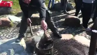 koger høne